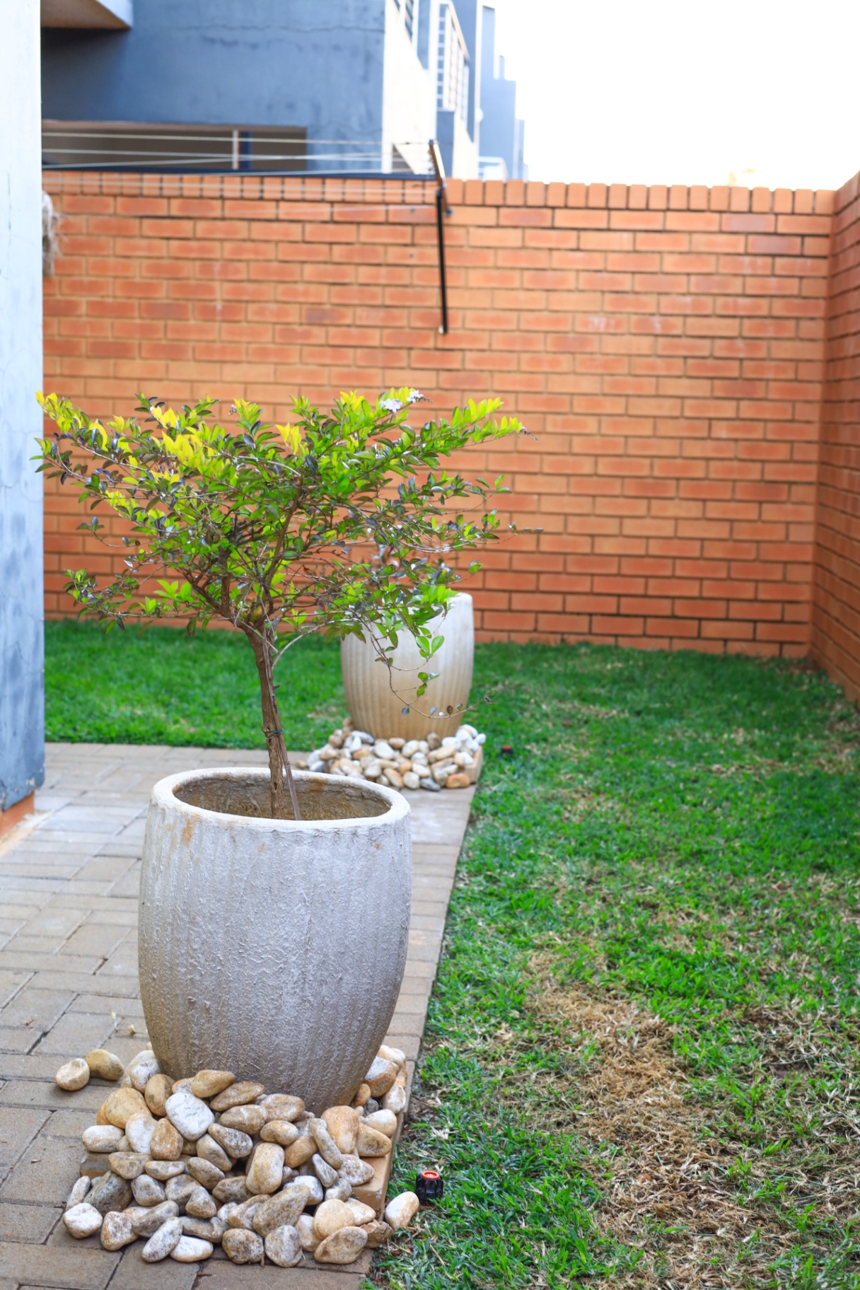 Landscaped garden with planters